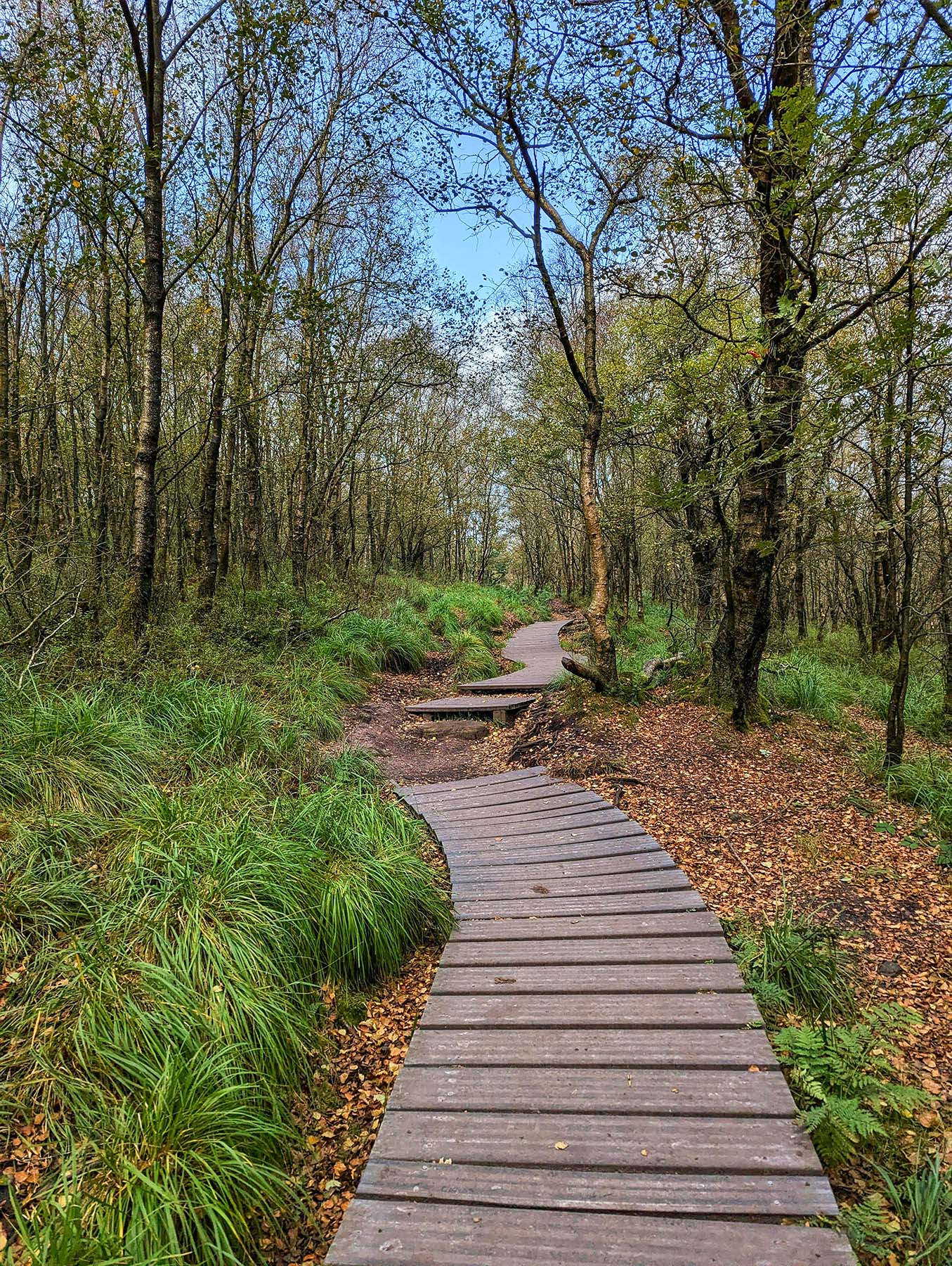 Harlow and Epping Forest